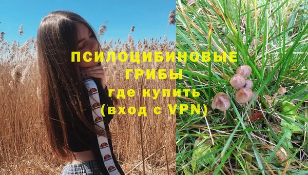 круглые Вяземский