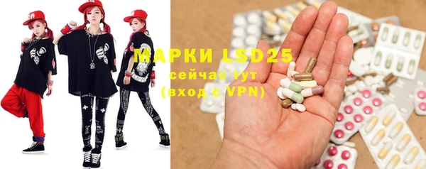 PSILOCYBIN Кулебаки