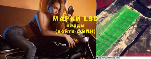 СК Вязники