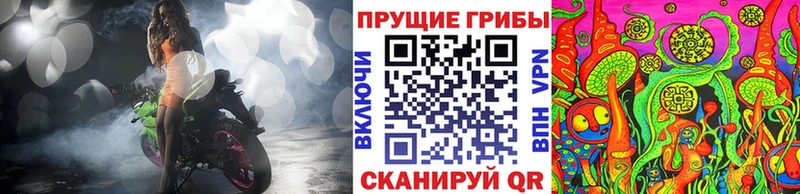 Галлюциногенные грибы Cubensis цена Октябрьск